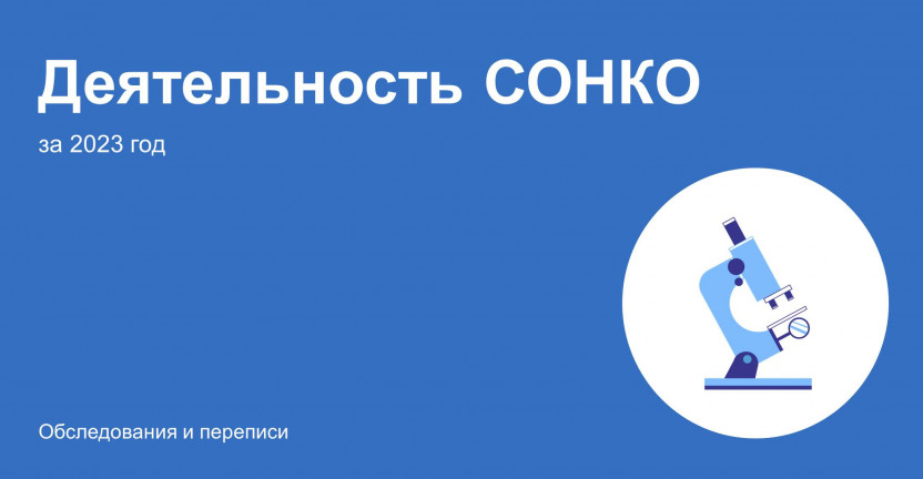 О деятельности социально ориентированных некоммерческих организаций в Мурманской области за 2023 год